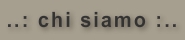 chi siamo